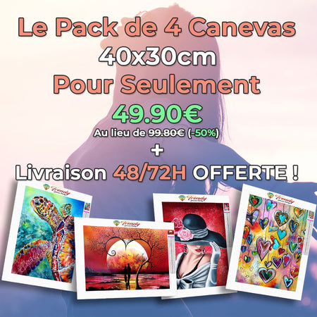 Offre spéciale NOËL : 2 + 2 OFFERTS | Broderies de diamants 40x30cm + livraison 48/72H