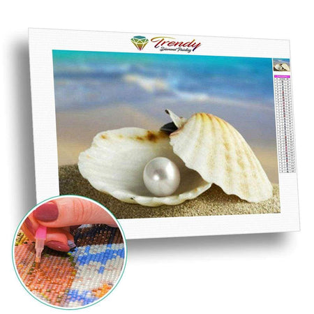 Perle de st jacques | Toile de diamant - Produit