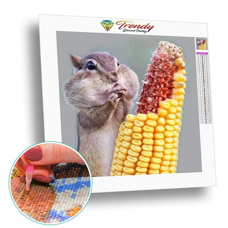 Petit écureuil gourmand | Broderie diamant toile entière - Animaux Autres animaux Produit
