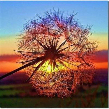 Pissenlits admirant le couché de soleil - modèle M003 | Broderie diamant toile entière - Fleur Fleur et plante Paysage Produit À la mer