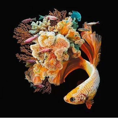 Poissons queue corail - modèle M002 | Diamond painting grand format - Animaux Poisson Produit