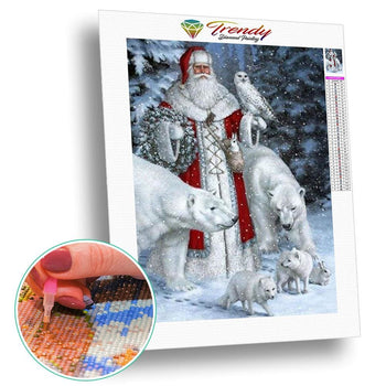 Portrait du Père Noël - modèle M001 | Toile diamant - Noël Portrait Produit