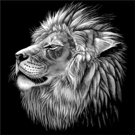 Portraits félins Lion tigre et léopard - modèle M006 | Broderie point de diamant - Animaux Lion Léopard Produit Tigre