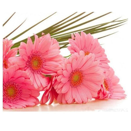Quelques gerberas rosé | Toile diamant - Fleur Fleur et plante Produit