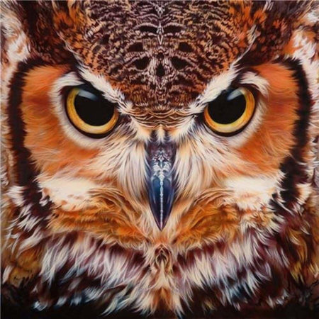 Regard de hibou - modèle M001 | Broderie diamant complet - Animaux Oiseau Produit