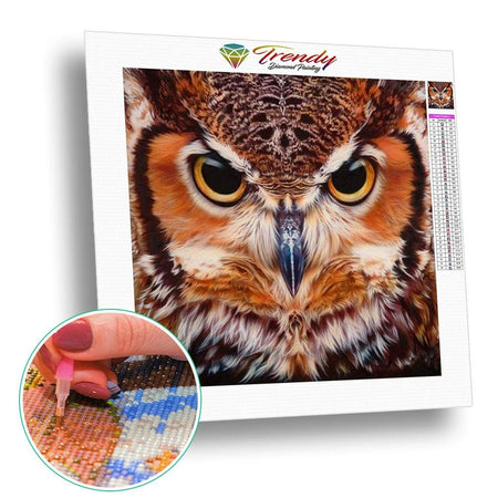 Regard de hibou - modèle M001 | Broderie diamant complet - Animaux Oiseau Produit