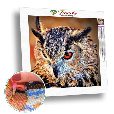 Regard de hibou - modèle M002 | Kit de broderie de diamant - Animaux Oiseau Produit