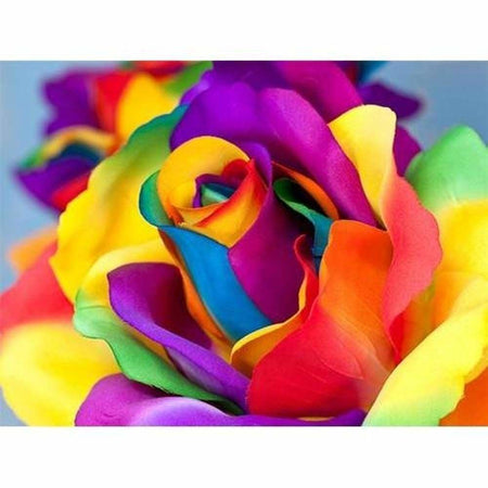 Rose aux pétales multicolores - modèle M001 | Diamond painting complet - Fleur Fleur et plante Produit