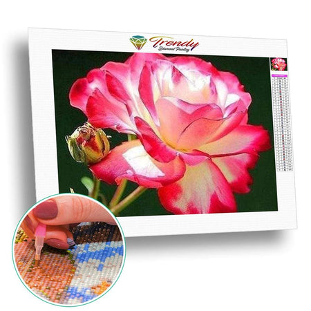 Rose blanche bi-ton - modèle M002 | Broderie point de diamant - Fleur Fleur et plante Produit