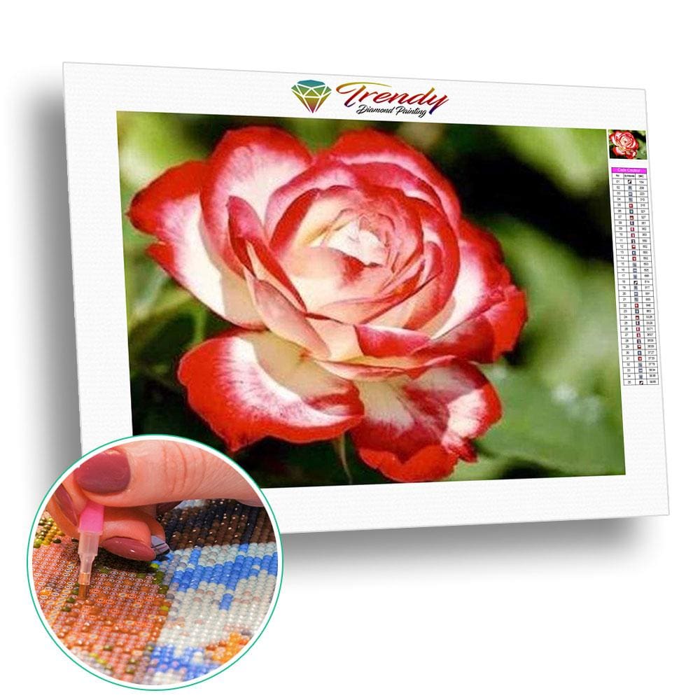 Rose blanche bi-ton - modèle M003 | Kit broderie - Fleur Fleur et plante Produit