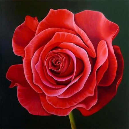 Rose rouge - modèle M004 | Broderie diamant toile entière - Fleur Fleur et plante Produit