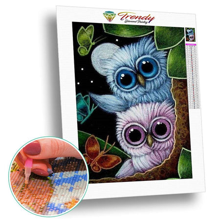Roudoudou les hiboux - modèle M001 | Broderie diamant complet - Animaux Oiseau Produit