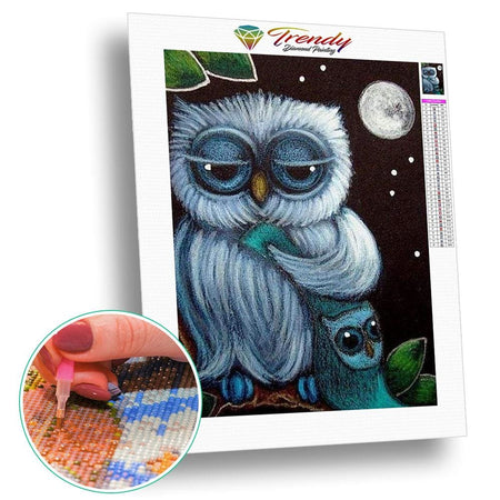 Roudoudou les hiboux - modèle M002 | Kit de broderie de diamant - Animaux Oiseau Produit
