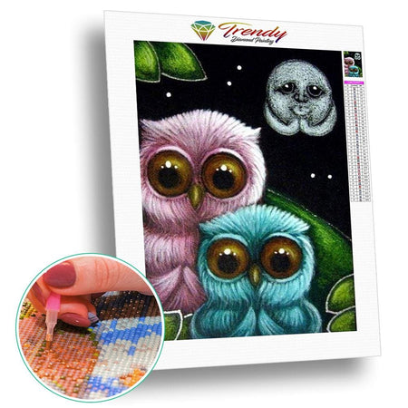 Roudoudou les hiboux - modèle M003 | Broderie diamant kit - Animaux Oiseau Produit