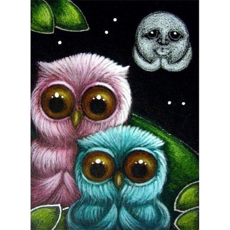 Roudoudou les hiboux - modèle M003 | Broderie diamant kit - Animaux Oiseau Produit