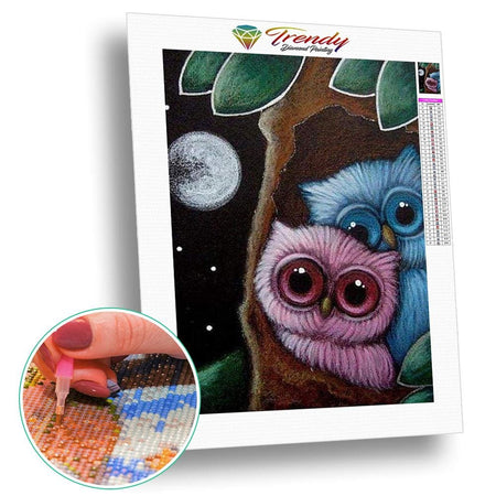 Roudoudou les hiboux - modèle M009 | Caneva diamant - Animaux Oiseau Produit