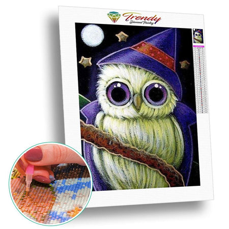 Roudoudou les hiboux - modèle M012 | Peinture diamant - Animaux Oiseau Produit