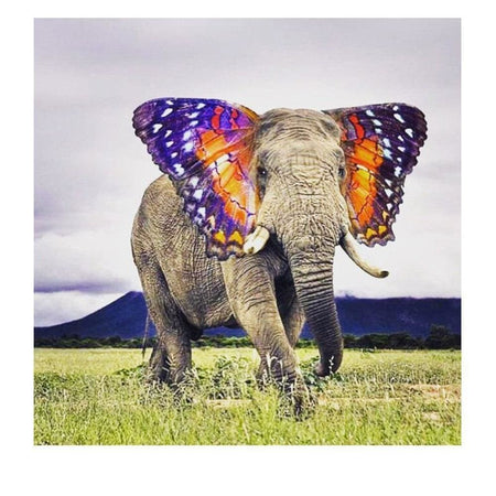 Un éléphant aux oreilles de papillon | Tableau de diamant - Animaux Produit Éléphant