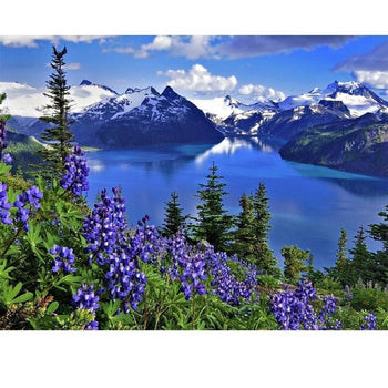Vue imprenable sur les monts enneigés | Broderie diamant kit - Paysage Printemps Produit À la montagne