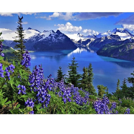 Vue imprenable sur les monts enneigés | Broderie diamant kit - Paysage Printemps Produit À la montagne